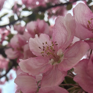 Meet your Posher, Kelsea